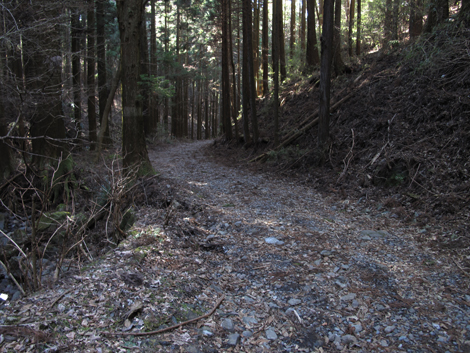 20180116hike (306)